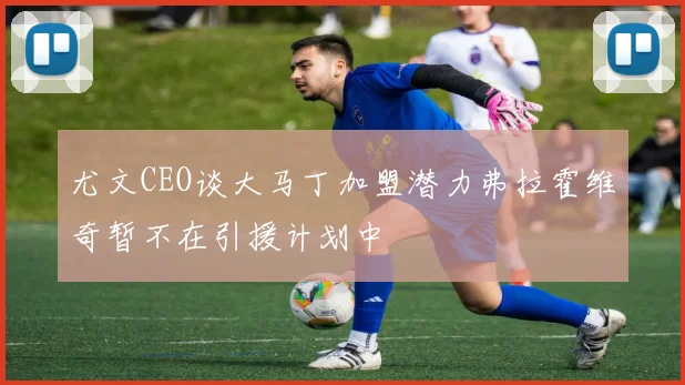 尤文CEO谈大马丁加盟潜力弗拉霍维奇暂不在引援计划中